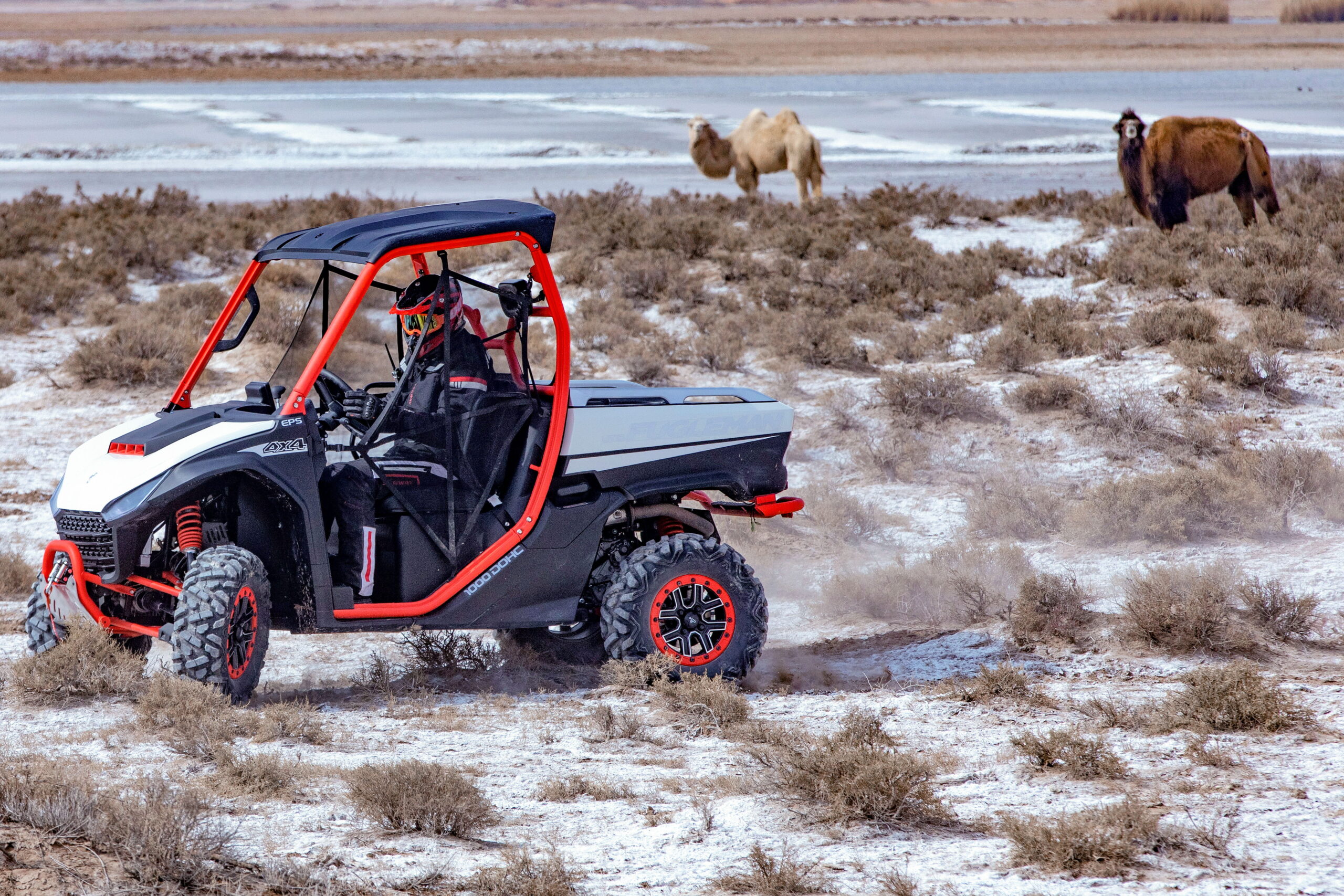 6e0e981d3ba448d7ab836908a58886f3 (1)